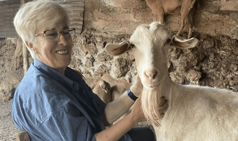 Cheese Making