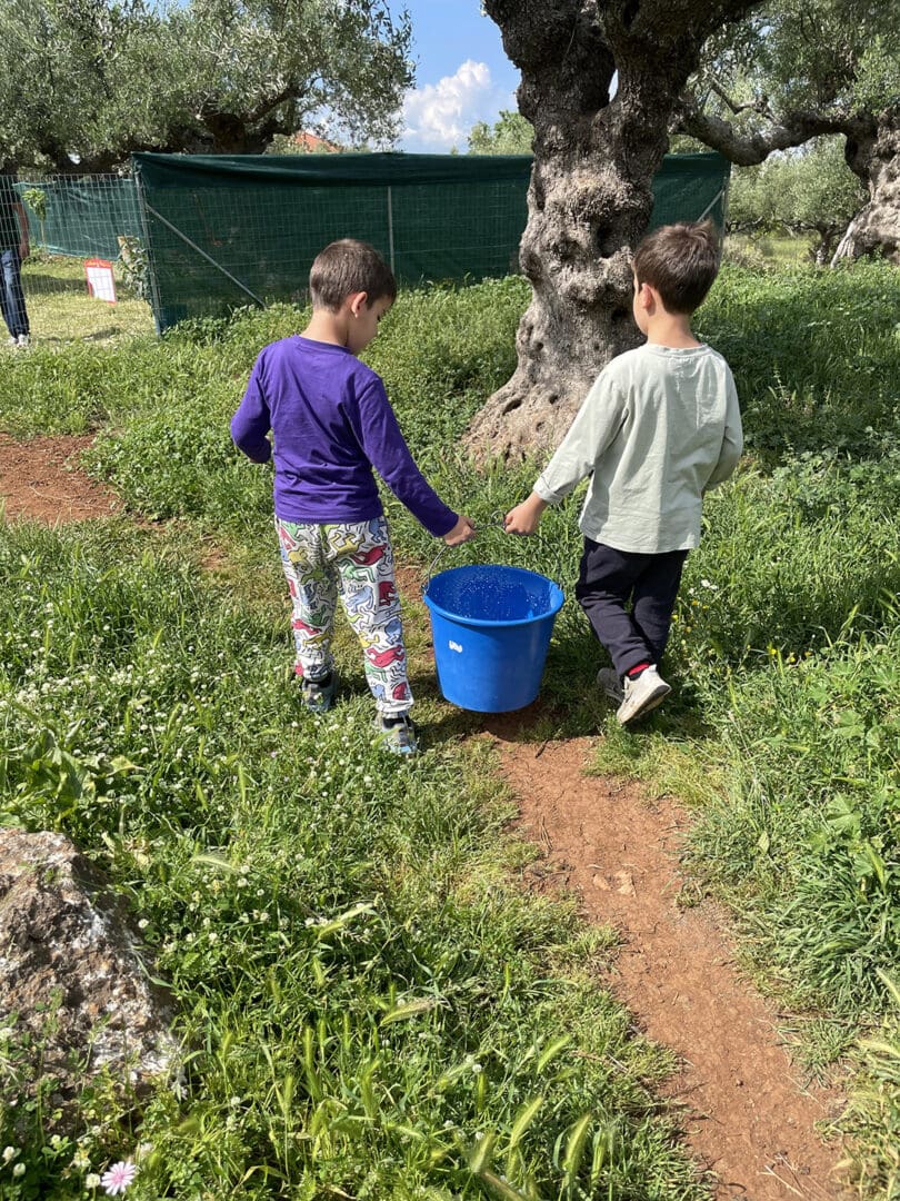 Family-friendly cheese making workshop in Messinian countryside
