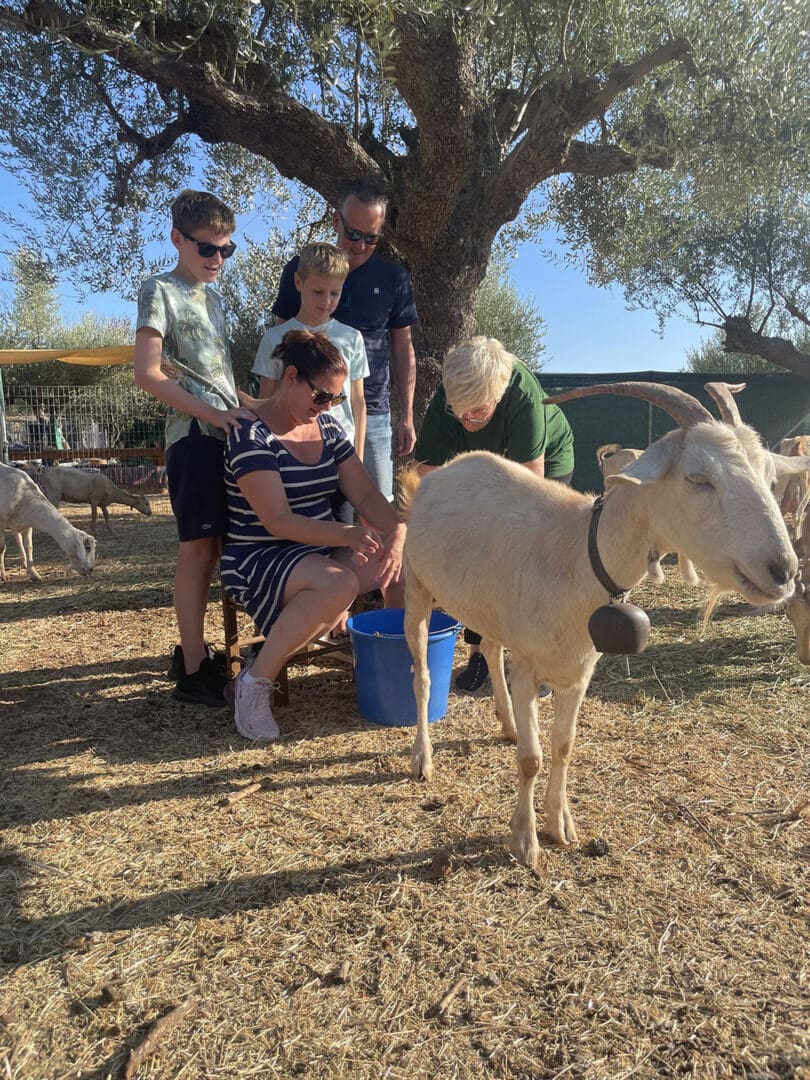 family activity at Mama Gaia