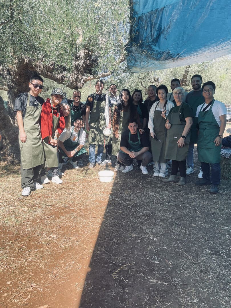 Team-building in the heart of the Messinian countryside