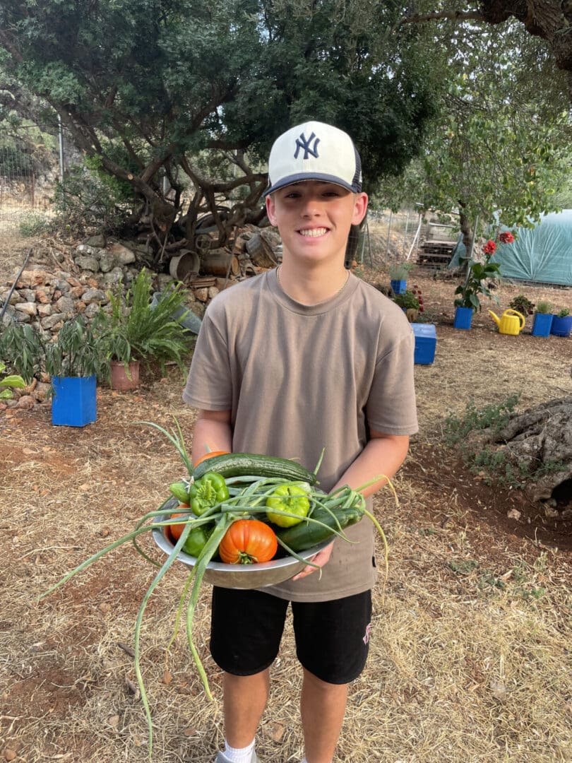 Vegetable harvest from Mama Gaia Kalamata