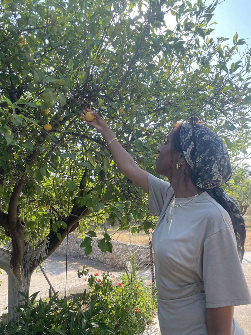 Hands-on vegetable picking experience for families and visitors