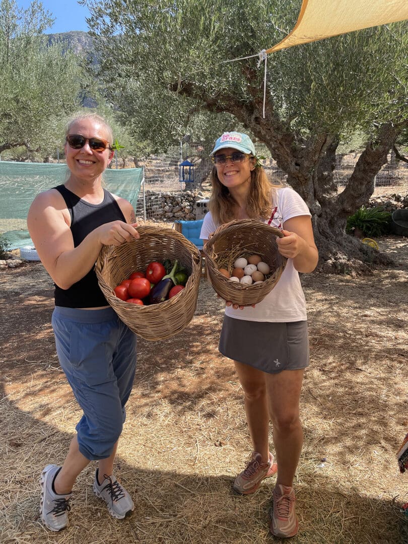 Enjoy the simple pleasures of harvesting in Messinia